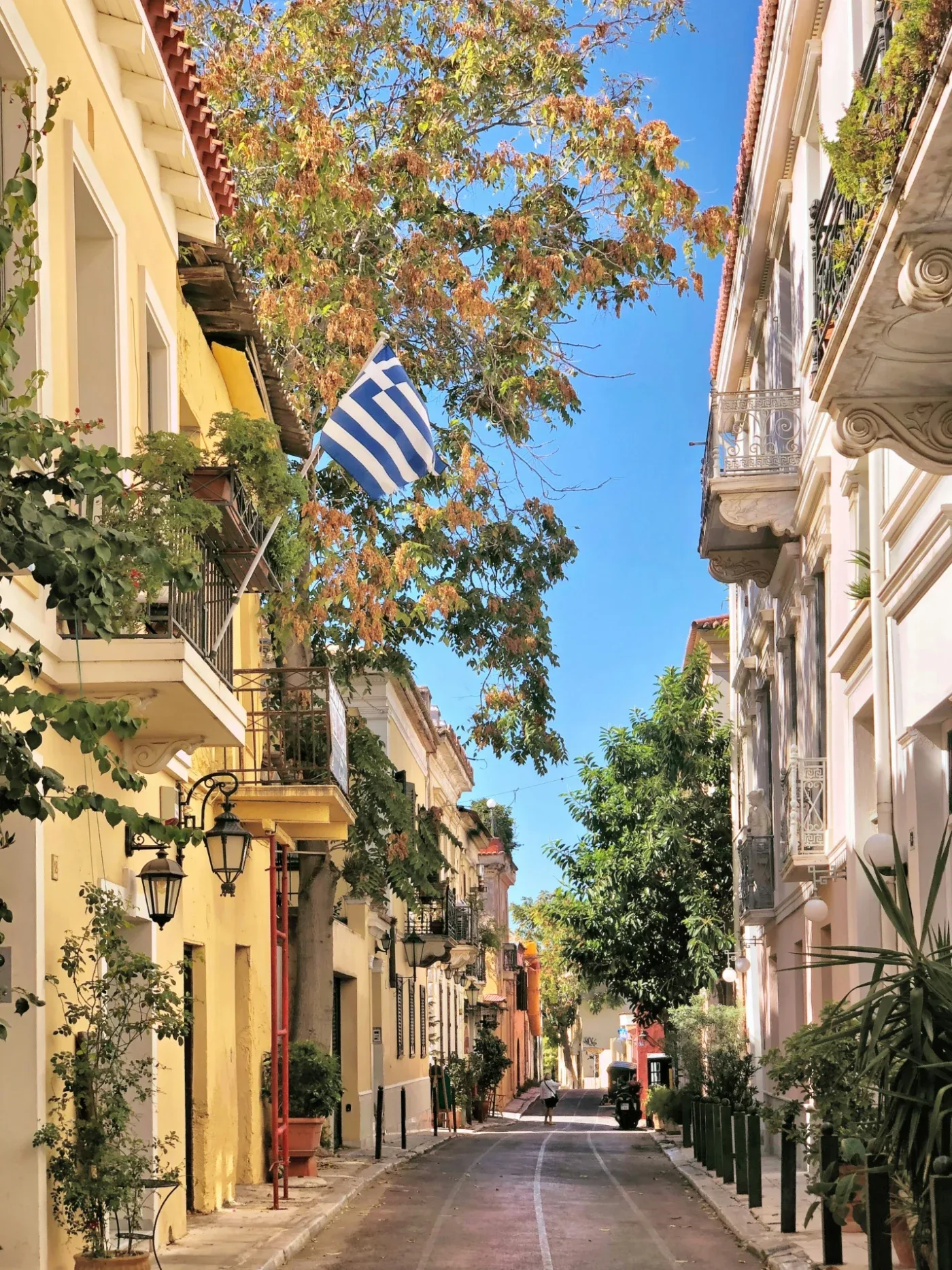 플라카 지구
